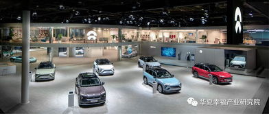 產(chǎn)業(yè)觀察丨從產(chǎn)品陣容看中國電動(dòng)汽車企業(yè)后補(bǔ)貼時(shí)代的應(yīng)對(duì)策略